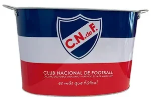 HIELERA CON ASAS 15 LTS