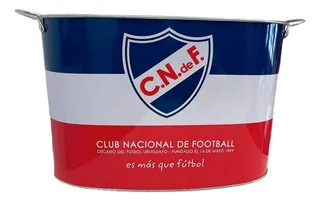 HIELERA CON ASAS 15 LTS